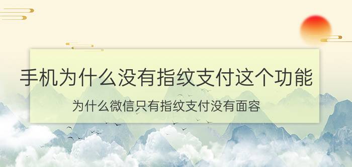 手机为什么没有指纹支付这个功能 为什么微信只有指纹支付没有面容？